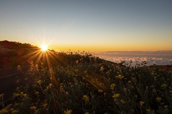 Maintenance in 4-Sterne-Resort auf La Palma (CANLAP01E)