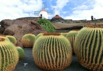 Animation in 4-Sterne-Resort auf Lanzarote (CANLZ005D)