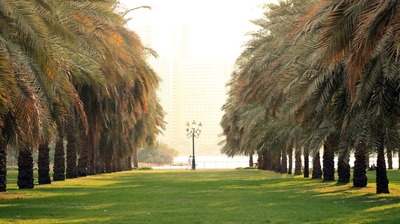 Front Office in 5-Sterne-Hotel in Dubai (VAEDUB05A)