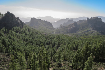 Wellness & SPA in 4-Sterne Resort auf Gran Canaria (CANGC01I)