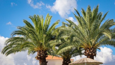 Front Office im luxuriösen 5-Sterne-Resort auf Kreta (GRKR005A)